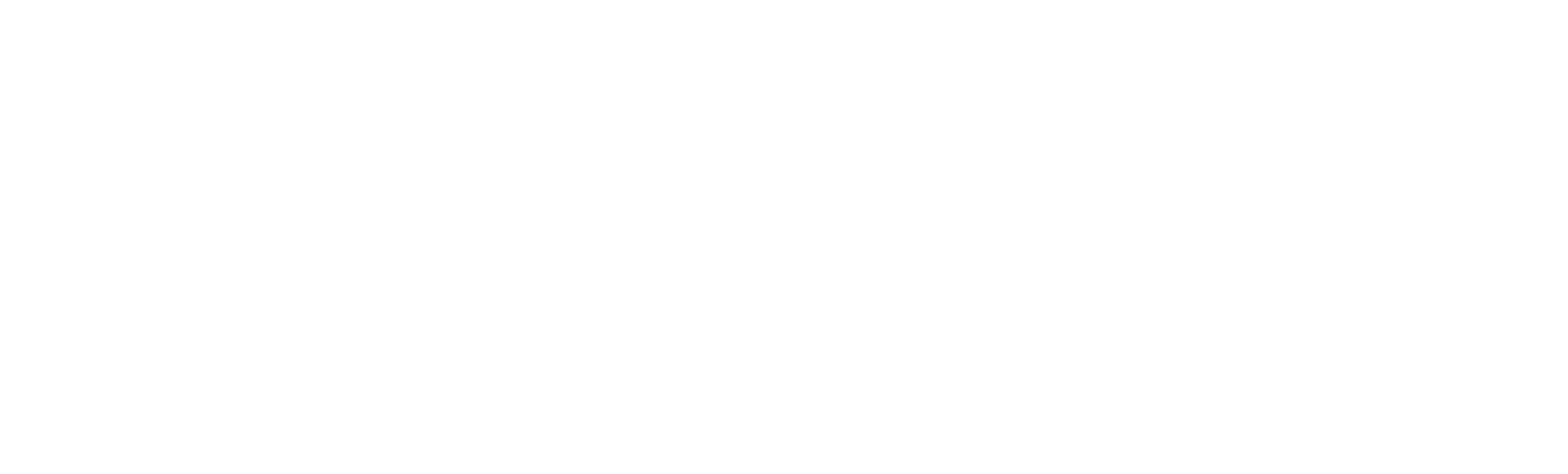 Schwenke Plus GmbH Logo